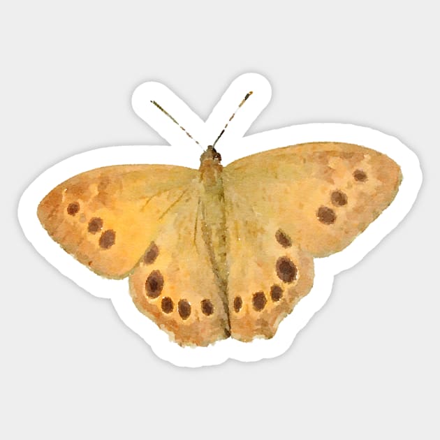 Northern Pearly-Eye Butterfly Sticker by Griffelkinn